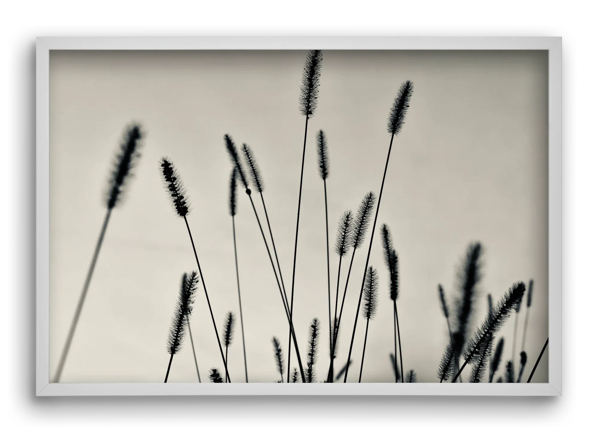 Cloud light - artbridge