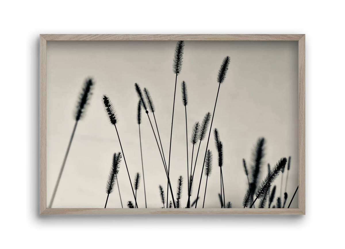 Cloud light - artbridge