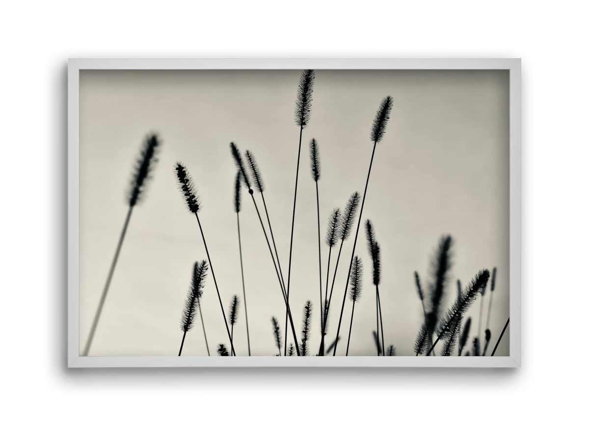 Cloud light - artbridge