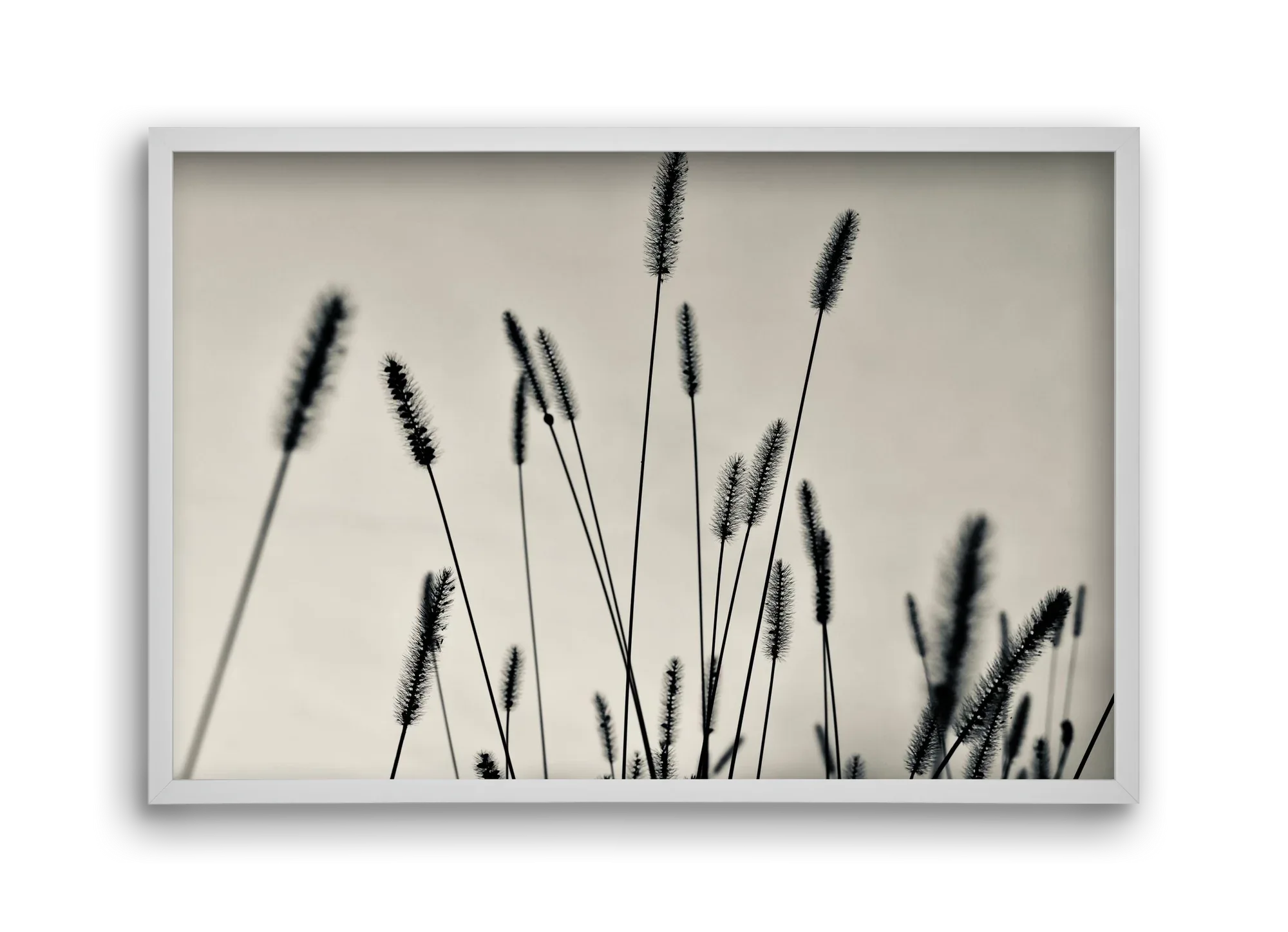 Cloud light - artbridge