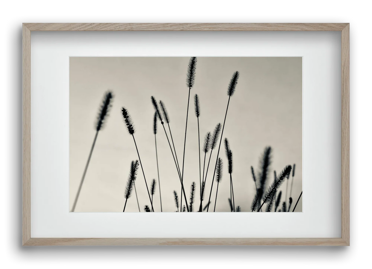 Cloud light - artbridge