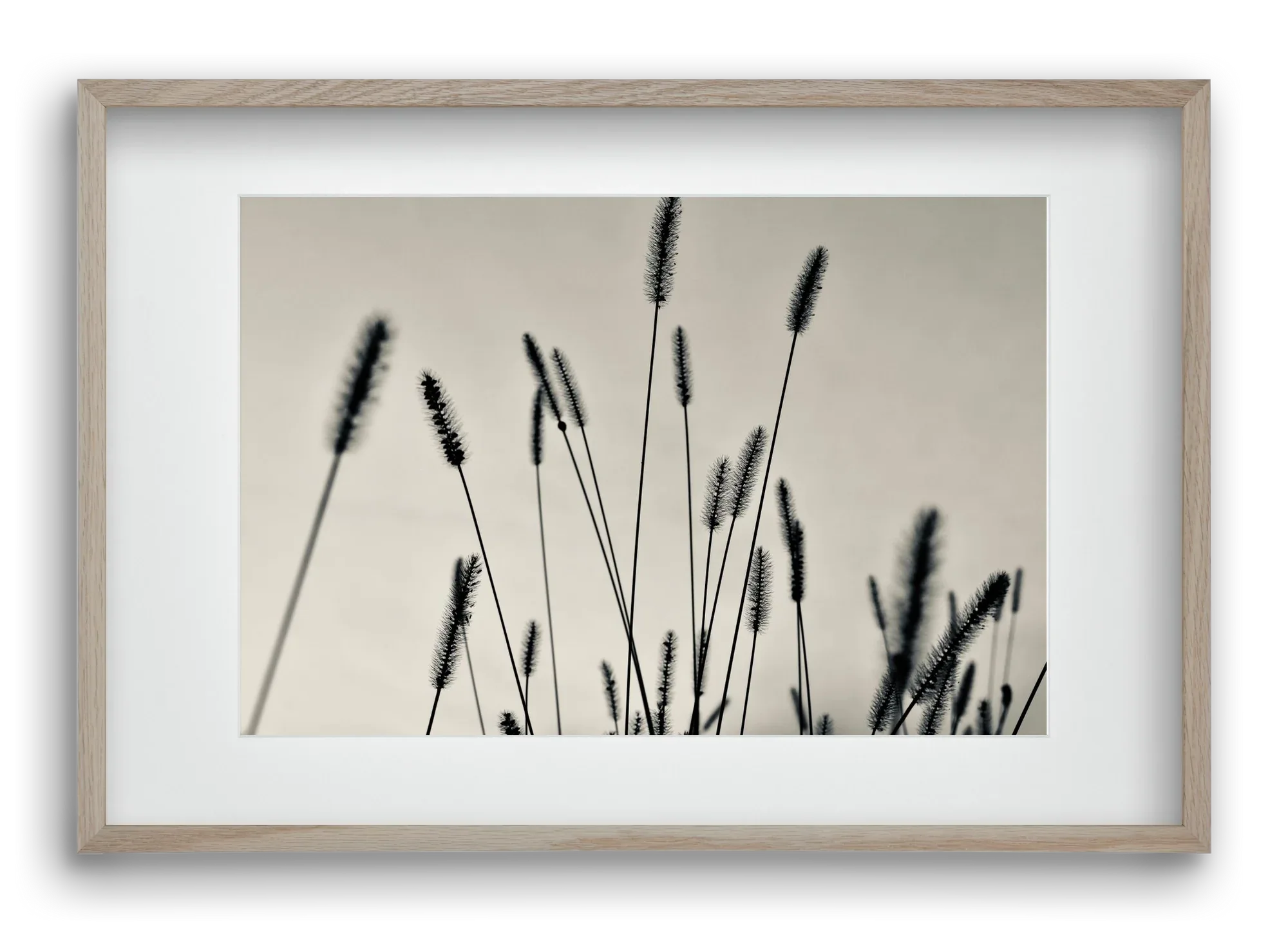 Cloud light - artbridge