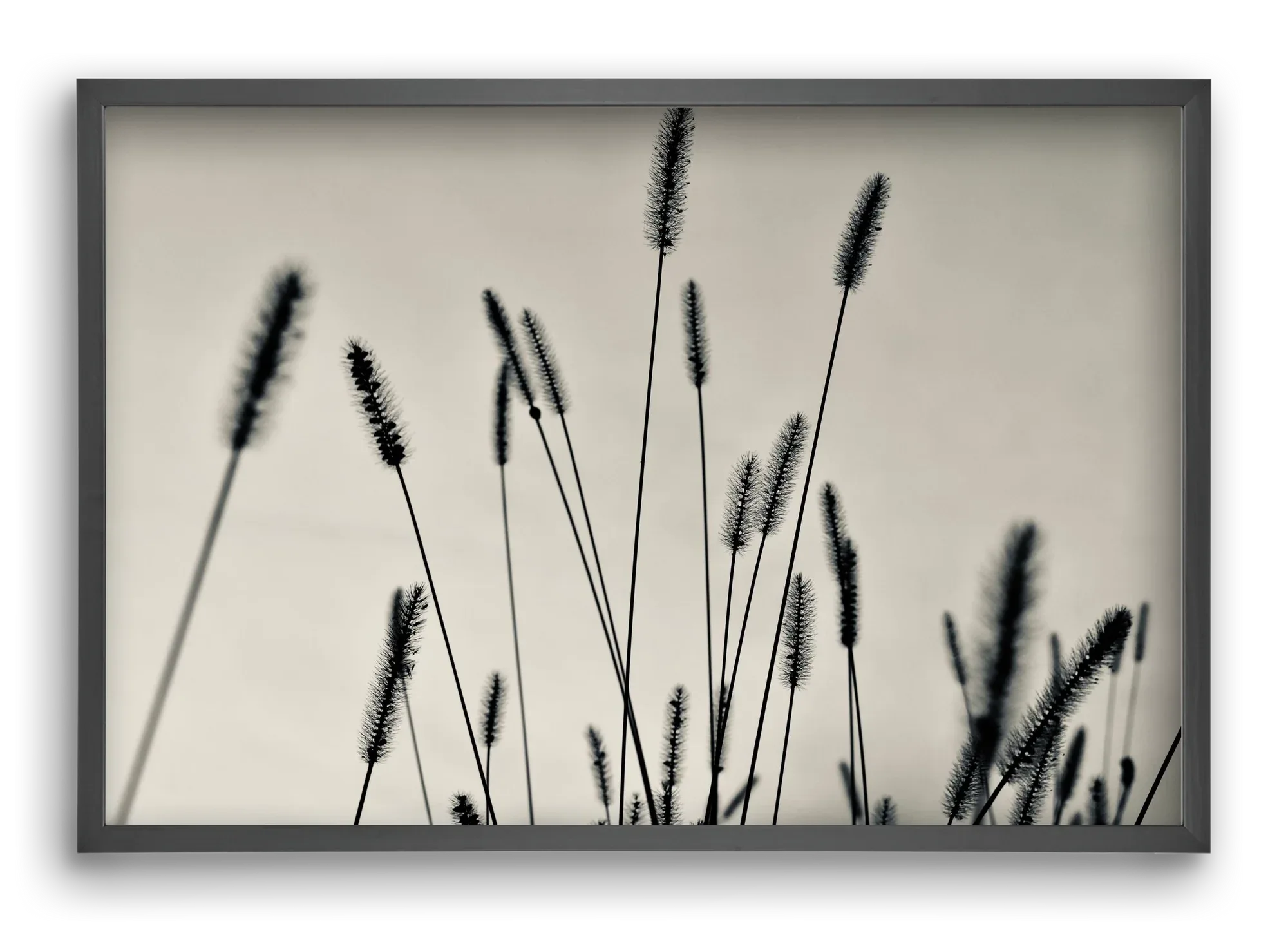 Cloud light - artbridge