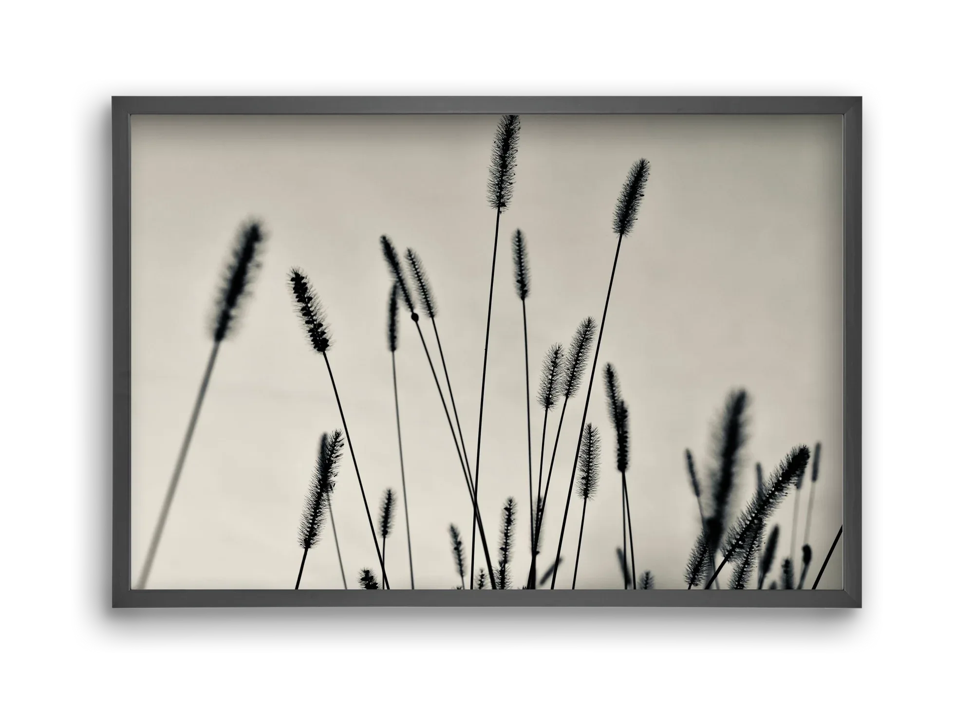 Cloud light - artbridge