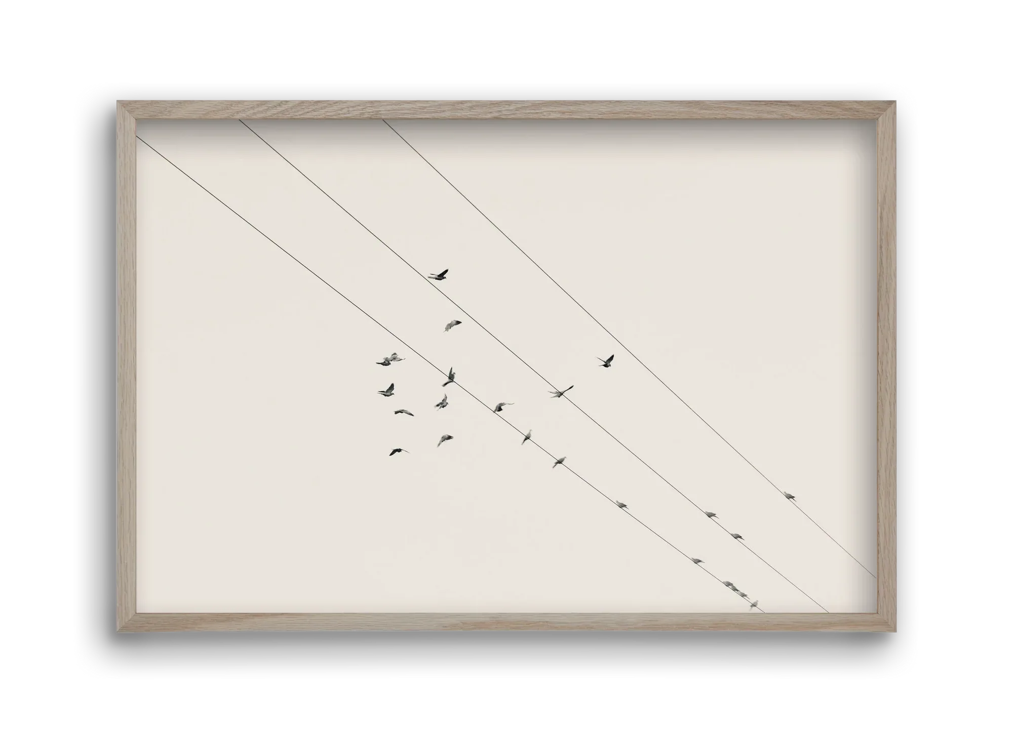 Matrix - artbridge