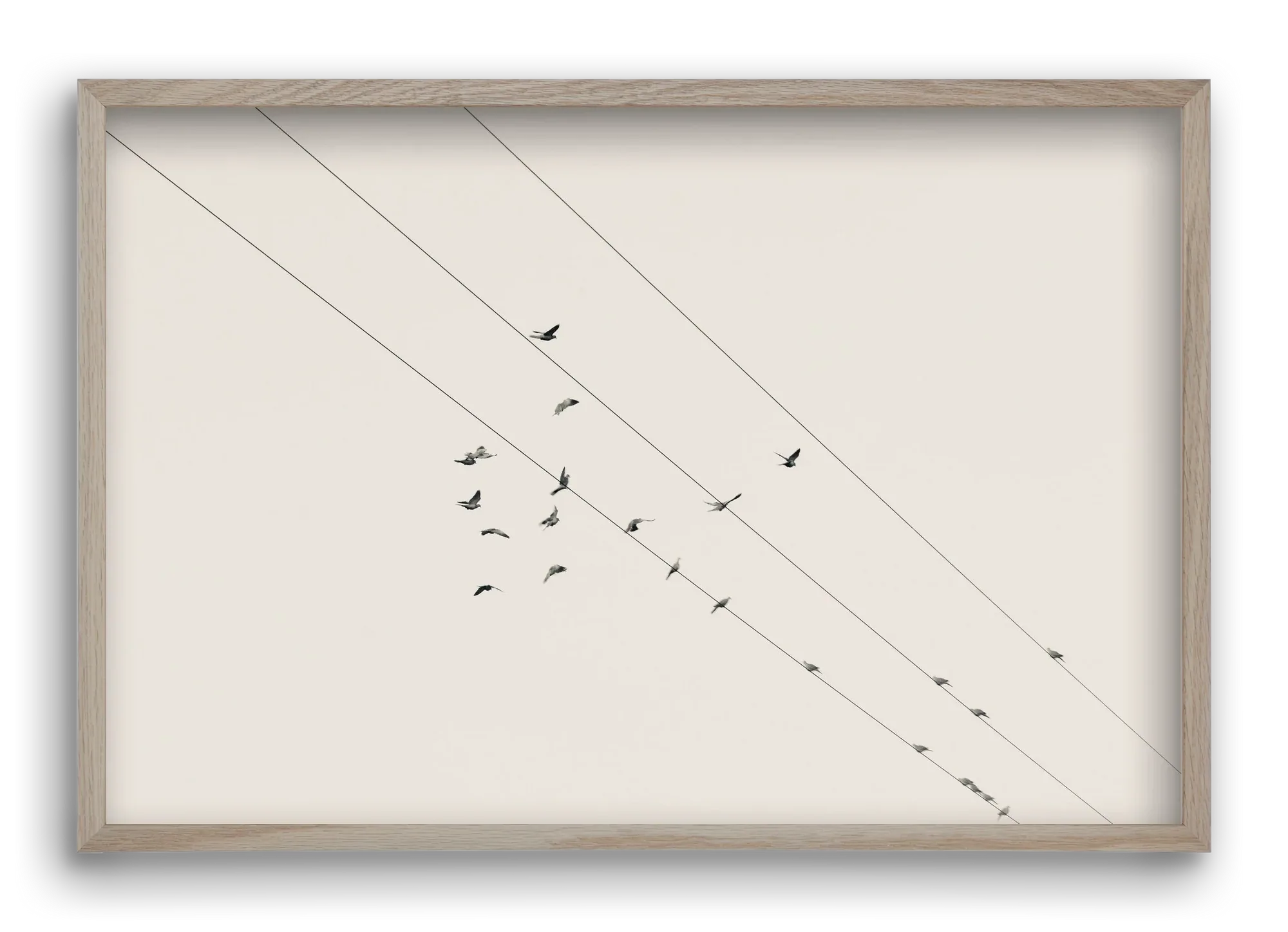 Matrix - artbridge