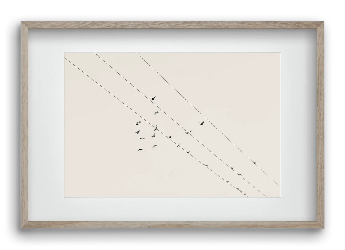 Matrix - artbridge