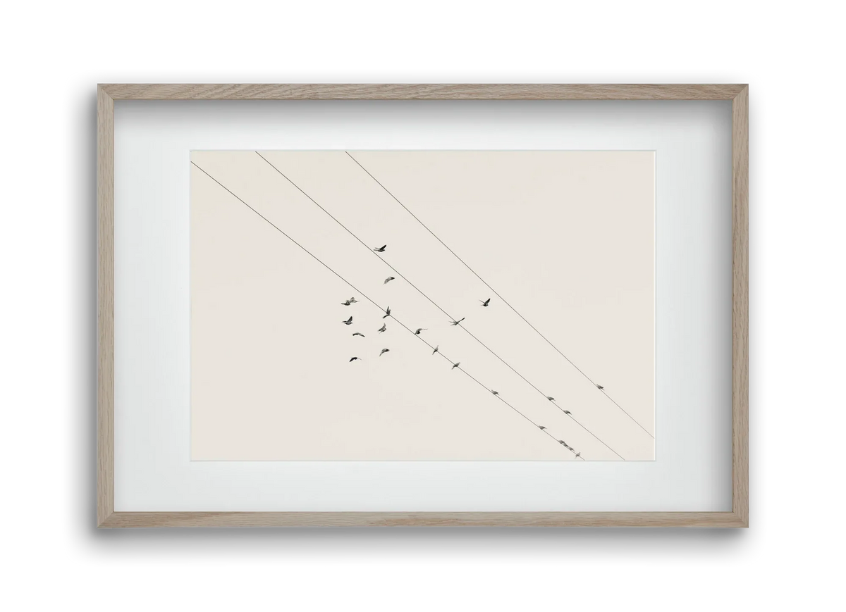 Matrix - artbridge
