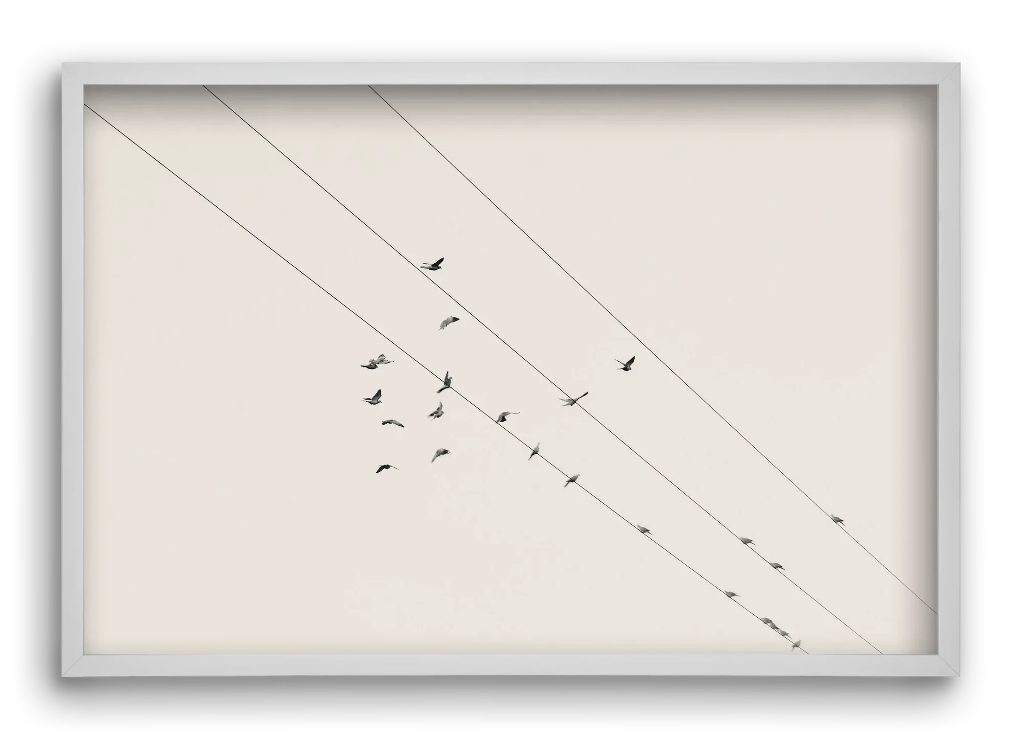 Matrix - artbridge