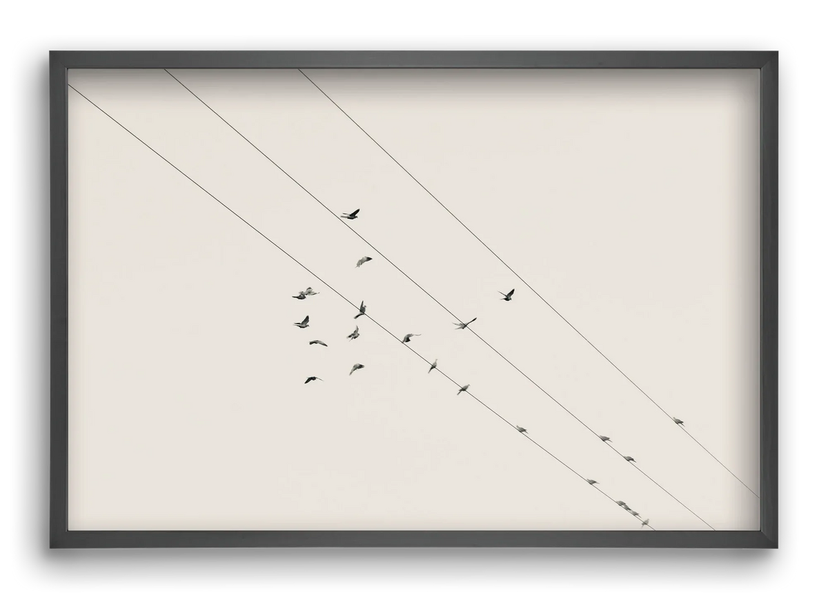 Matrix - artbridge