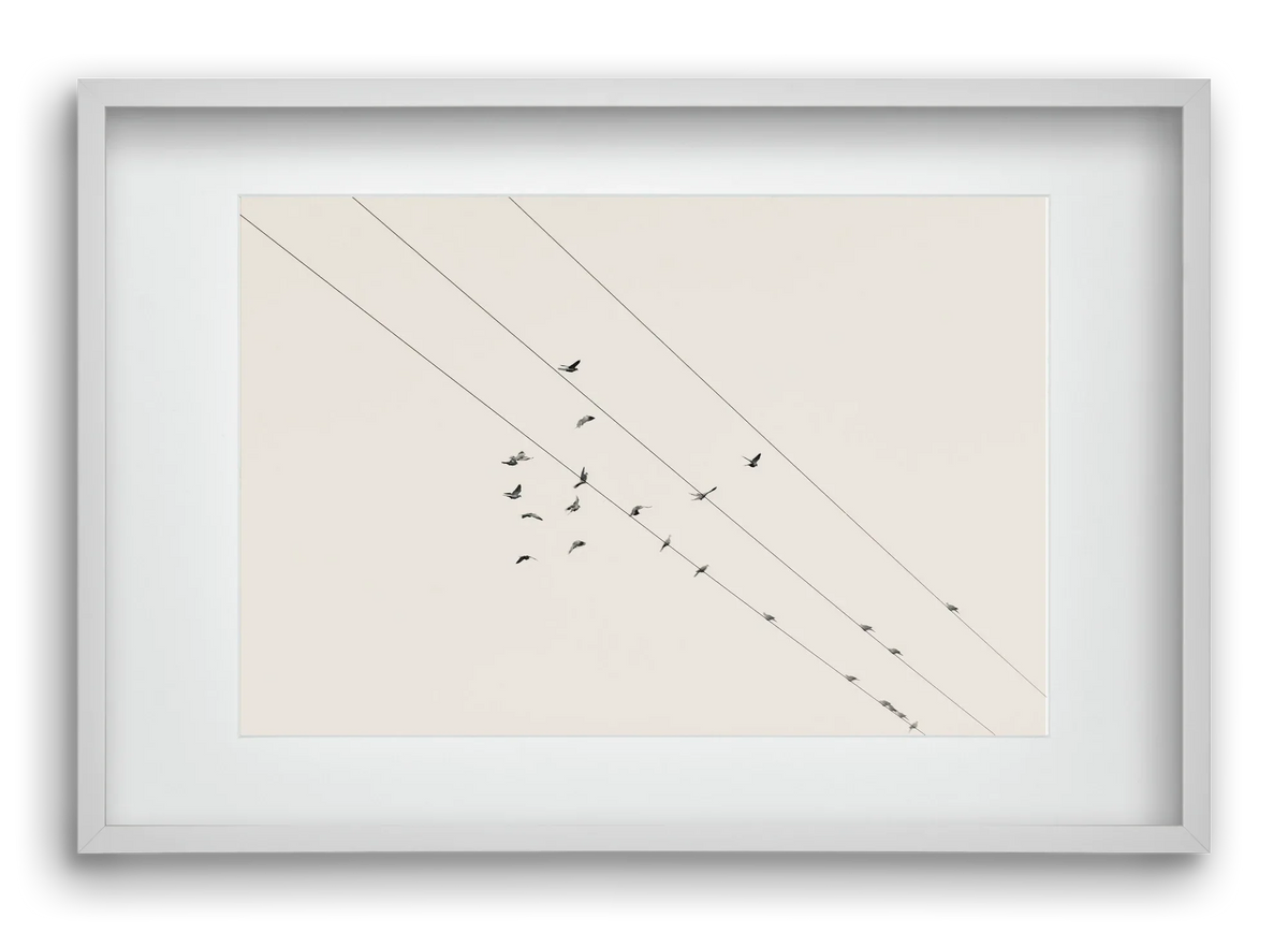 Matrix - artbridge