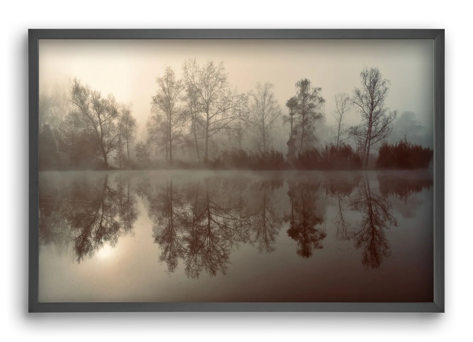 Dreamer - artbridge