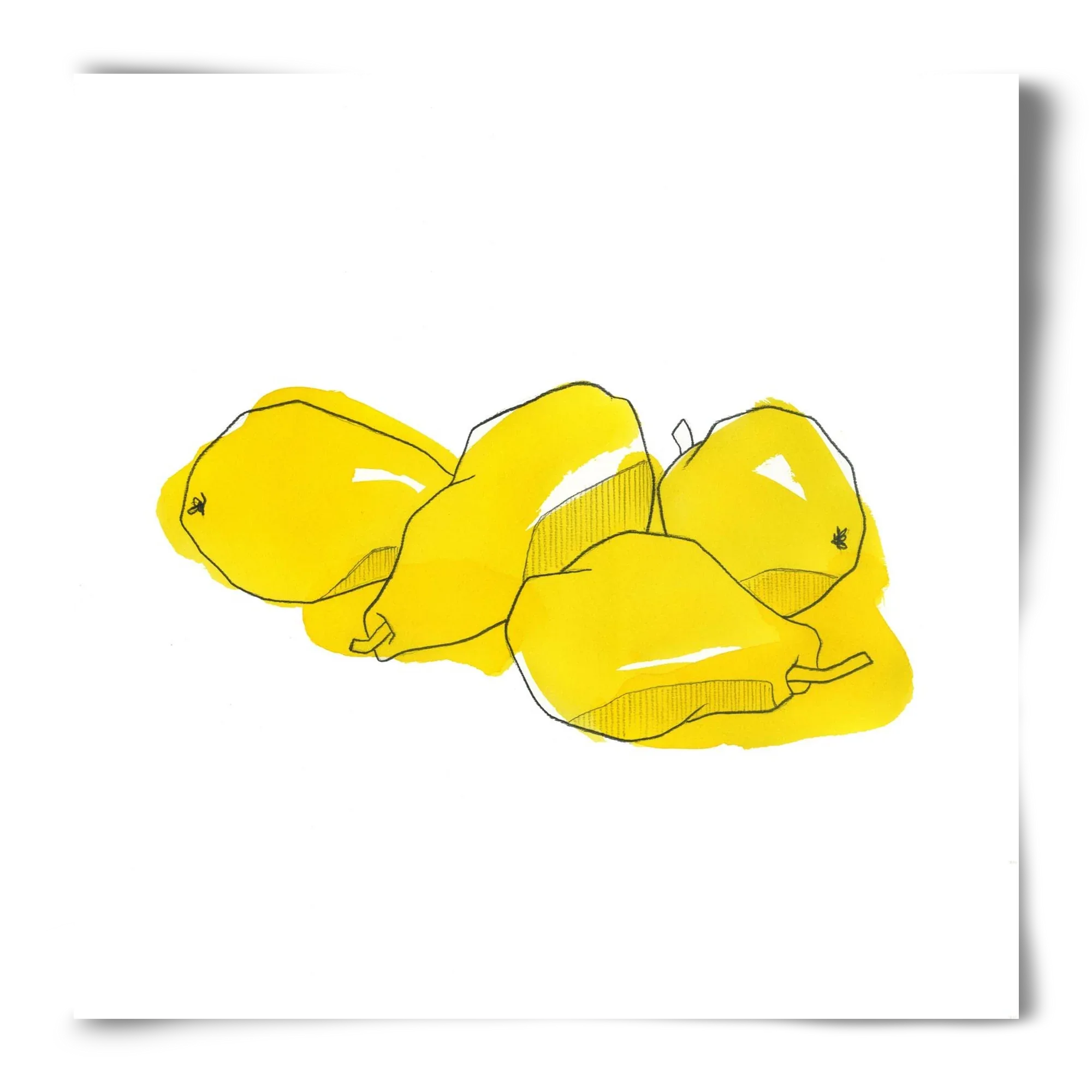 Pears - artbridge