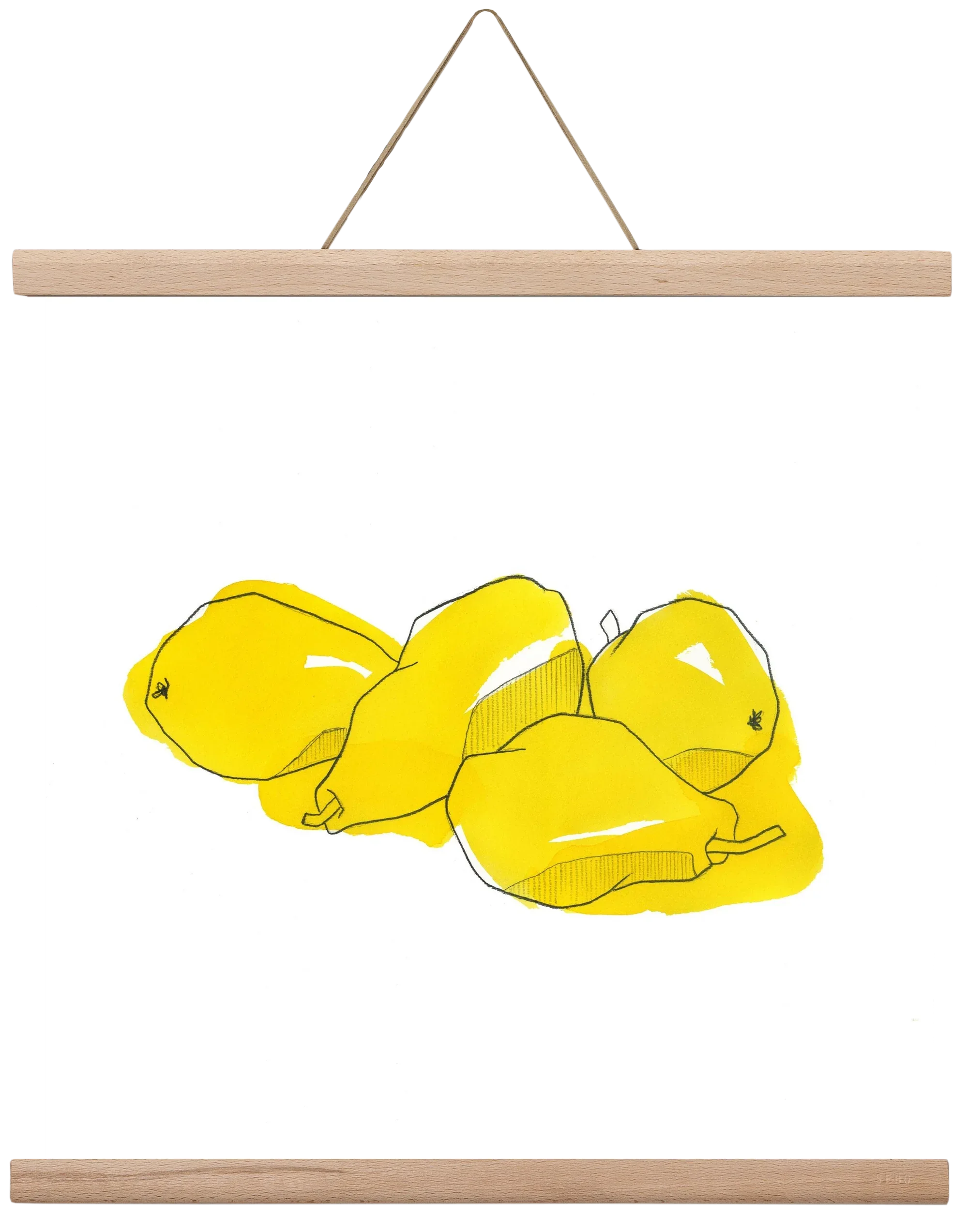 Pears - artbridge