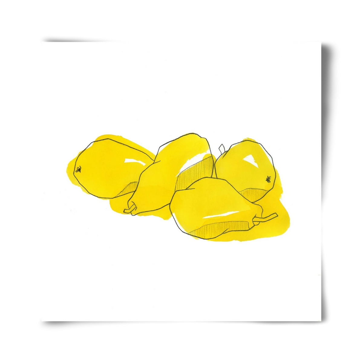 Pears - artbridge
