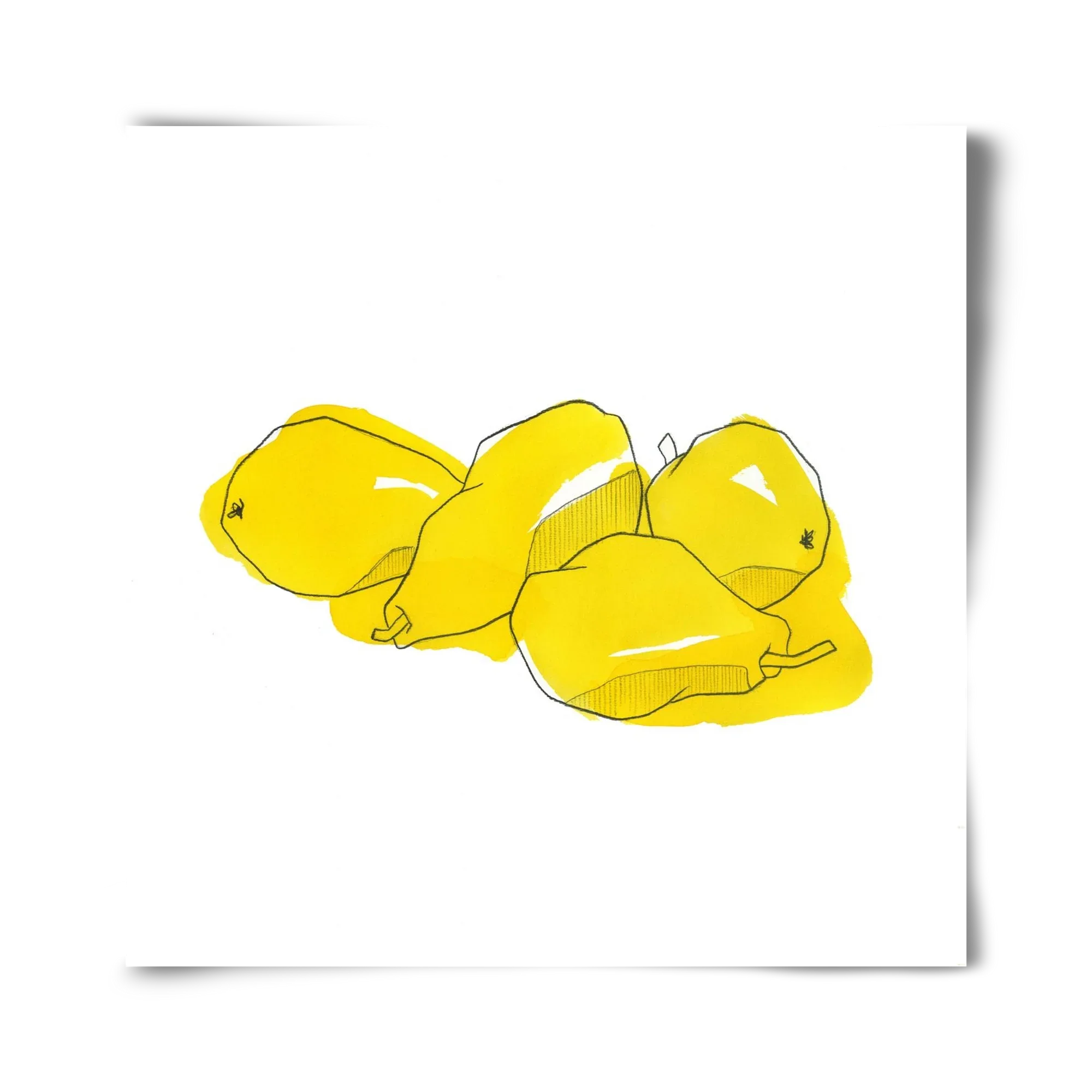 Pears - artbridge