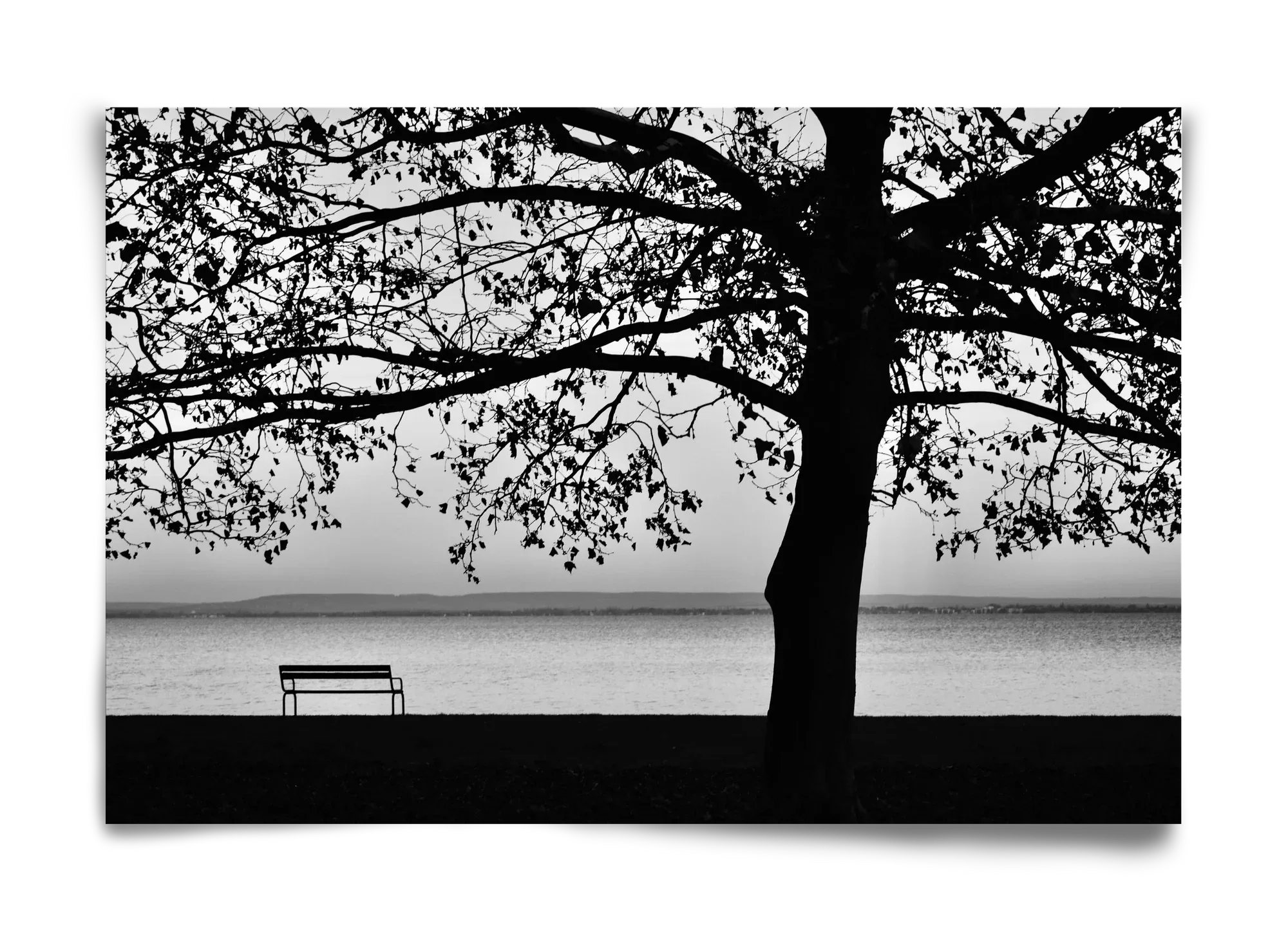 Badacsony part - artbridge