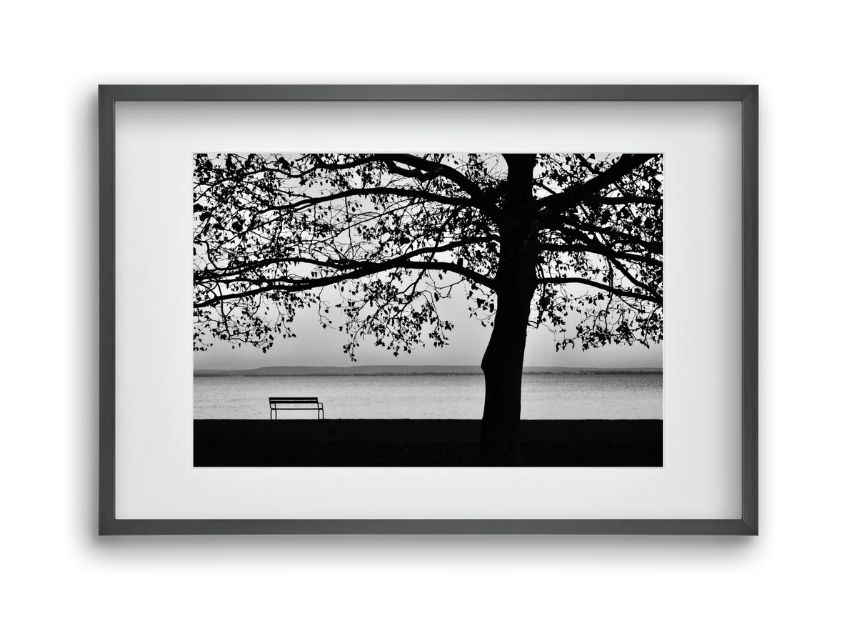 Badacsony part - artbridge