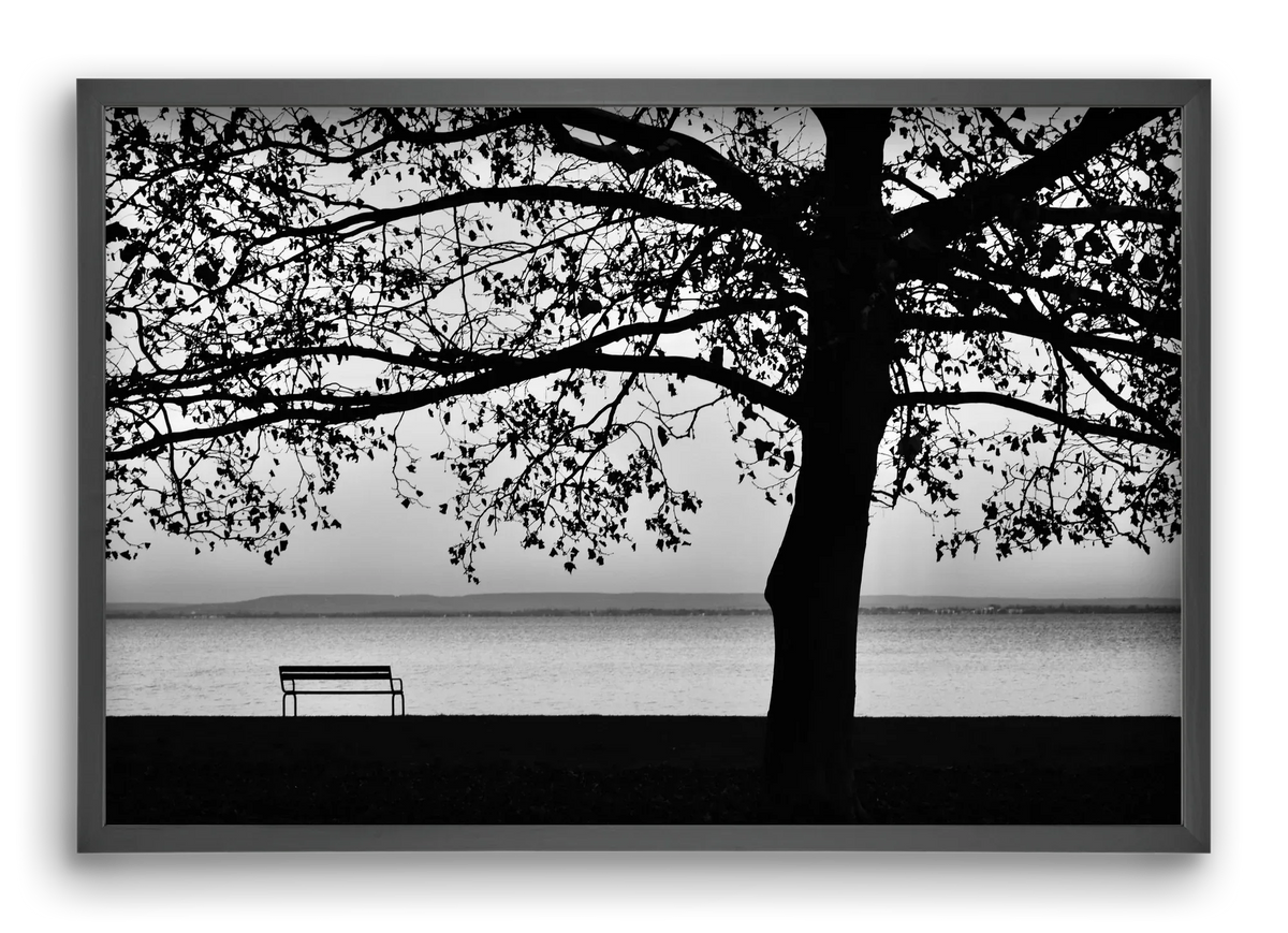 Badacsony part - artbridge