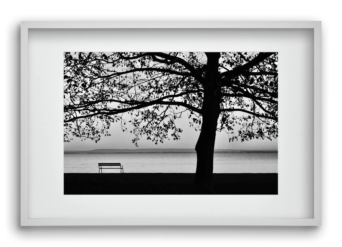 Badacsony part - artbridge