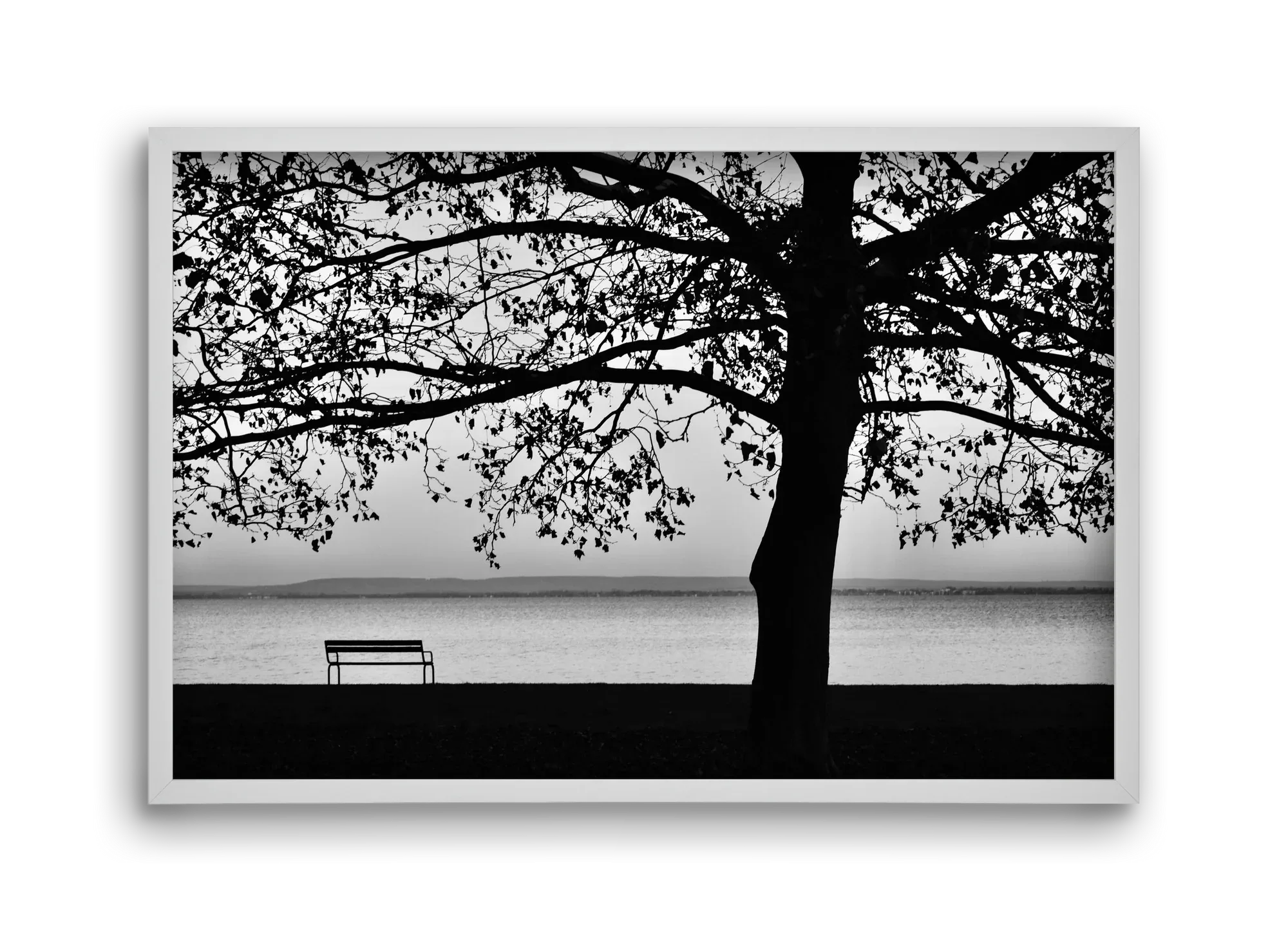 Badacsony part - artbridge