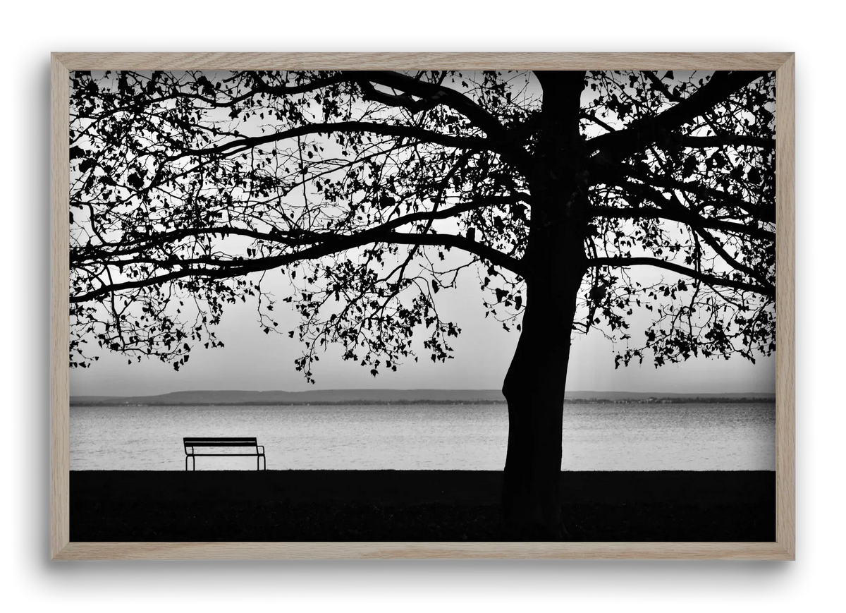 Badacsony part - artbridge