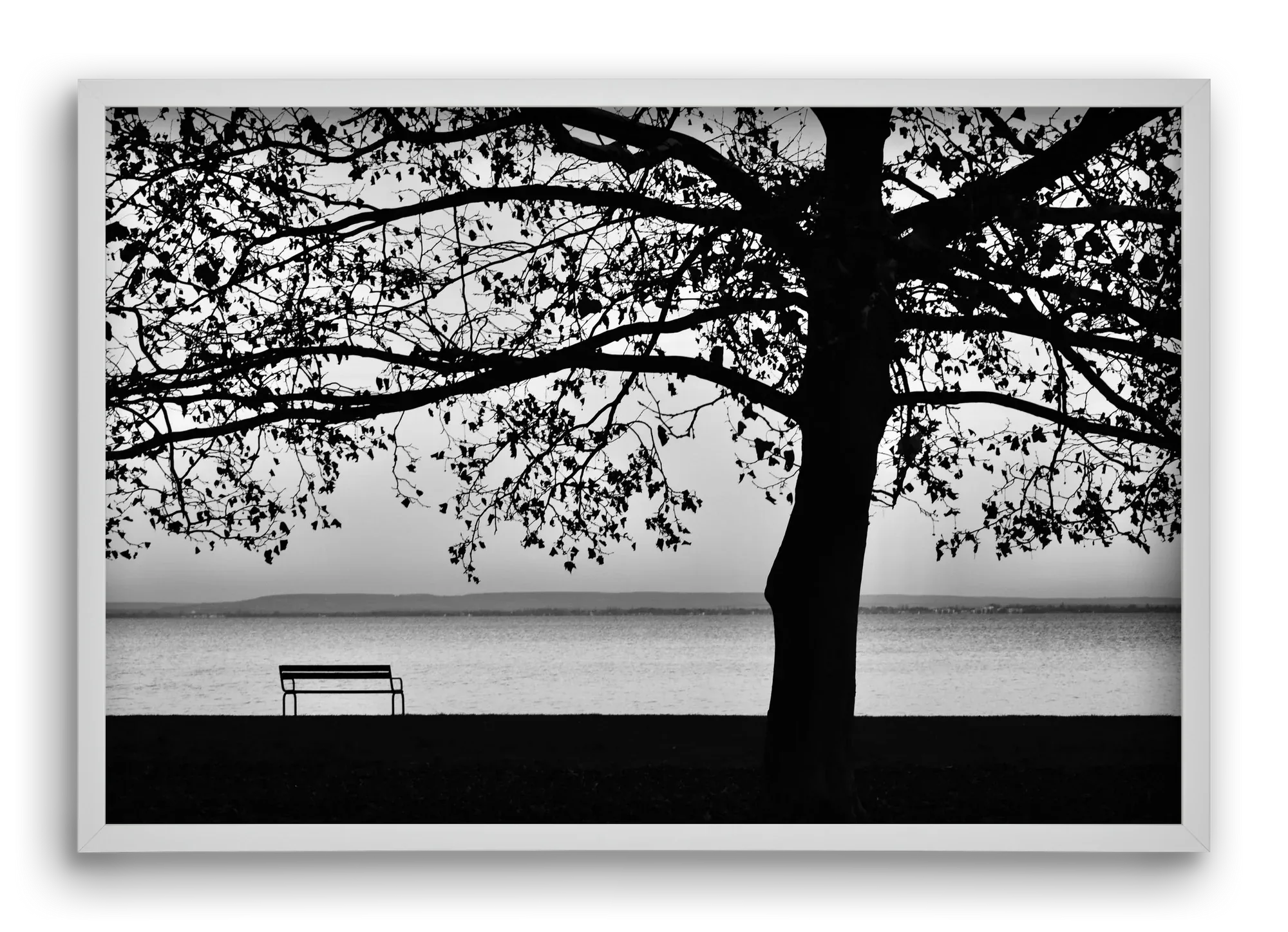 Badacsony part - artbridge