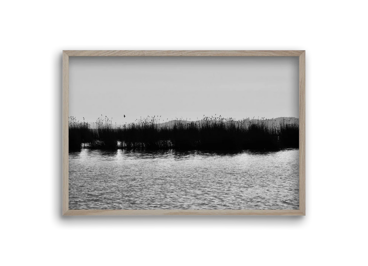 abbey - artbridge
