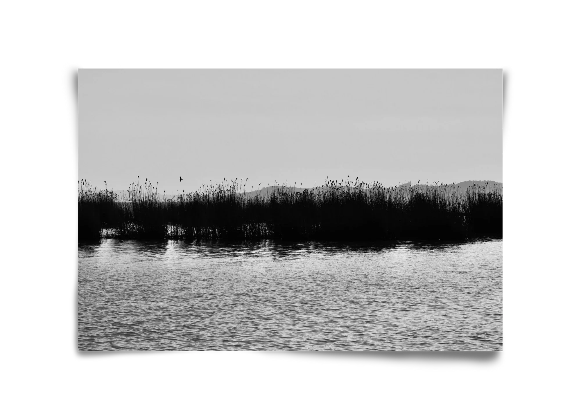 abbey - artbridge