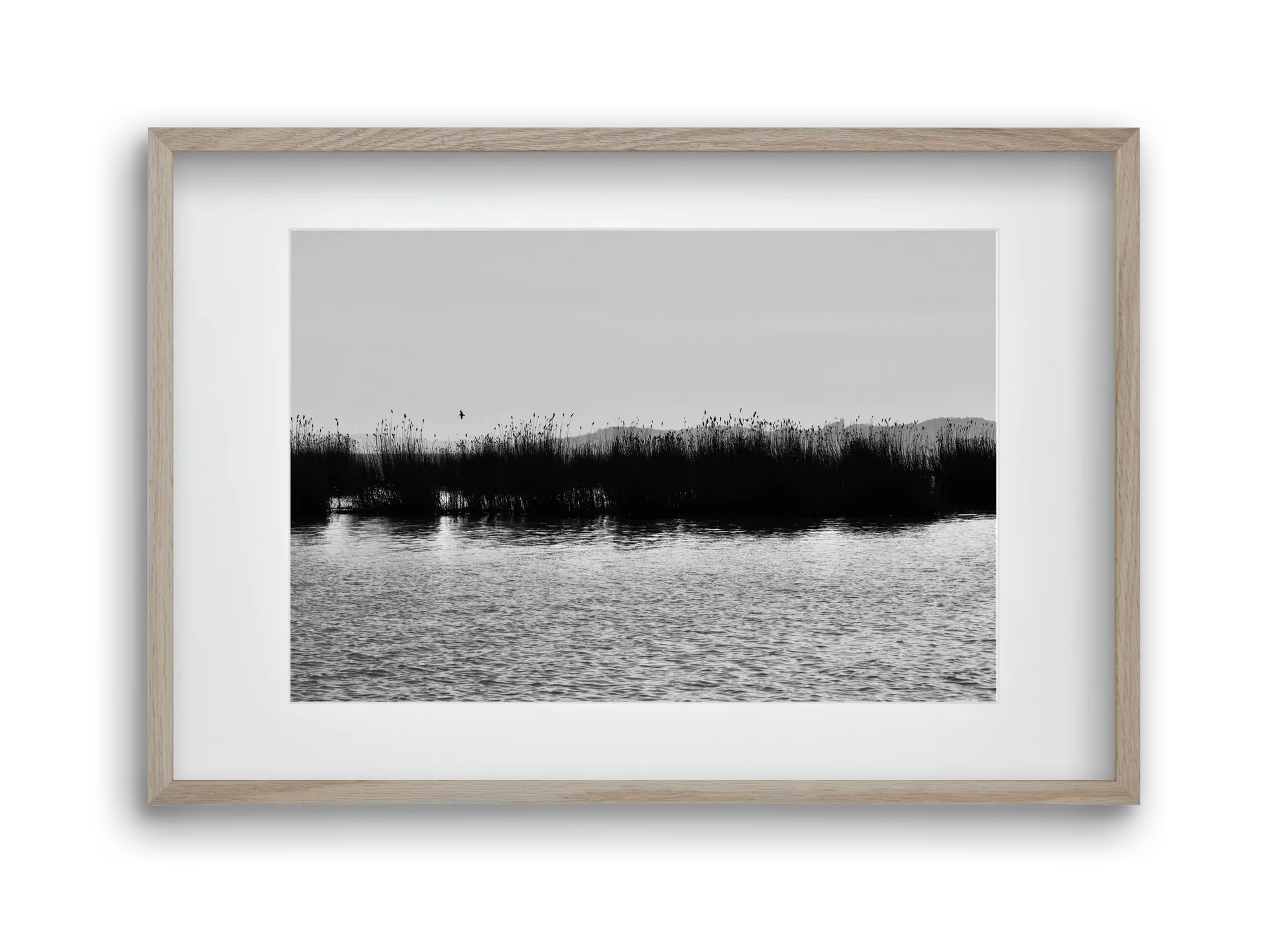 abbey - artbridge