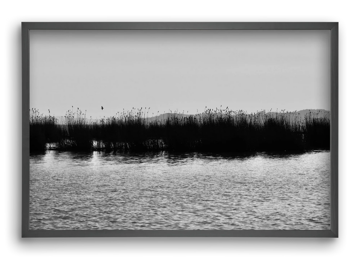 abbey - artbridge