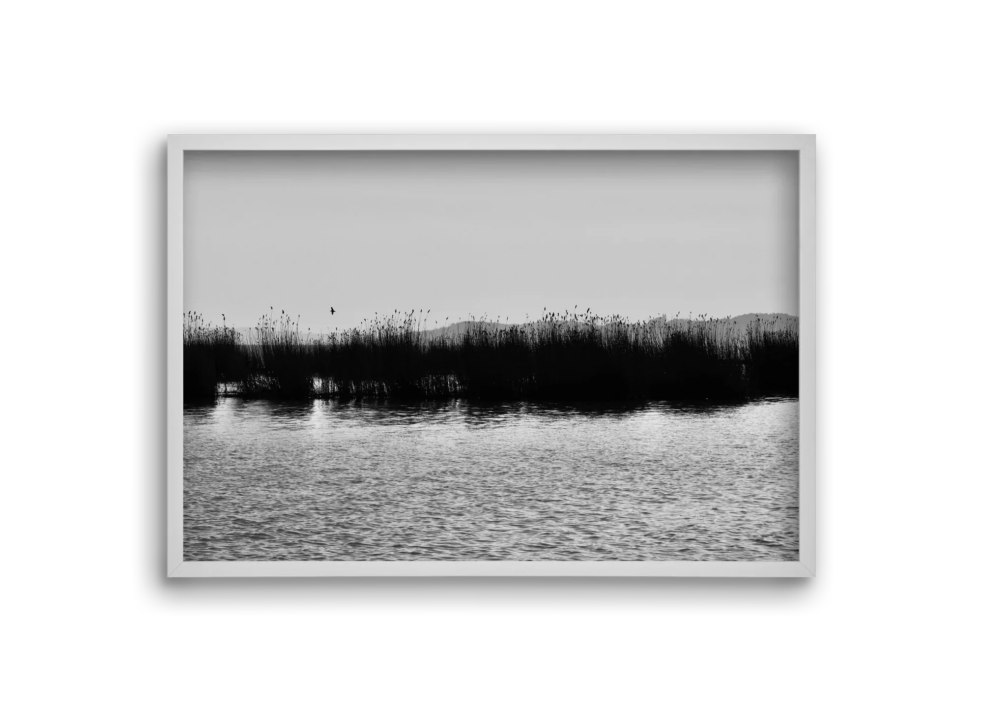 abbey - artbridge