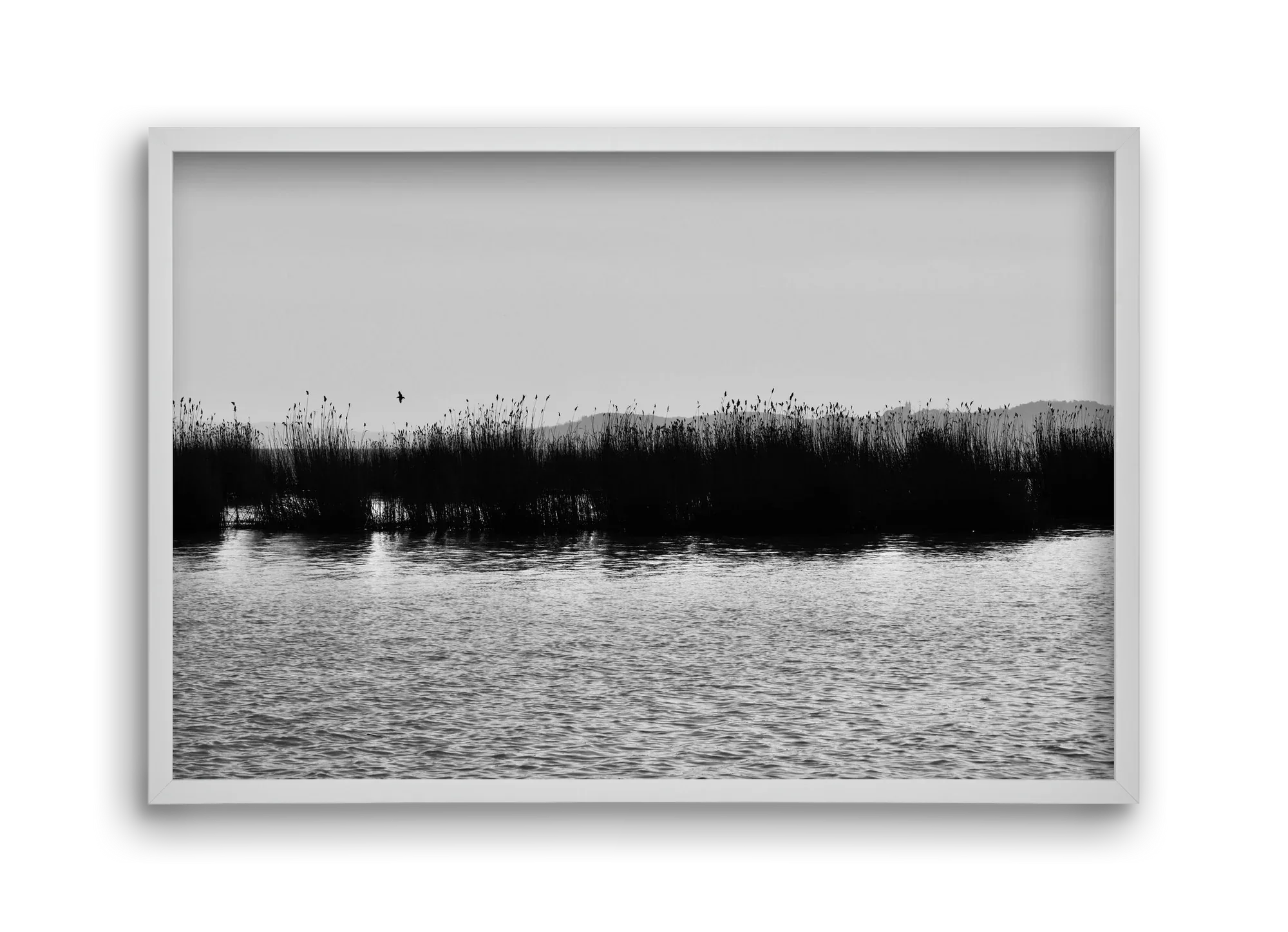 abbey - artbridge