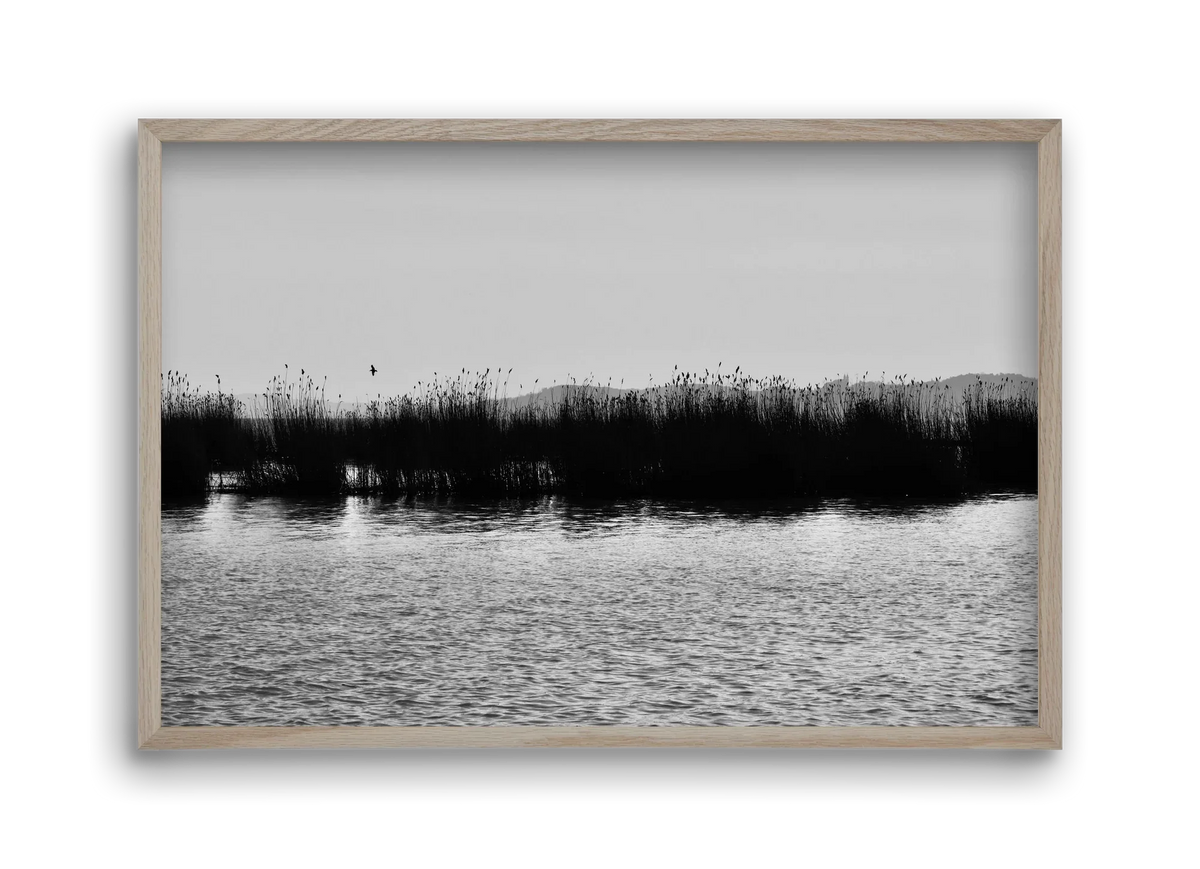 abbey - artbridge
