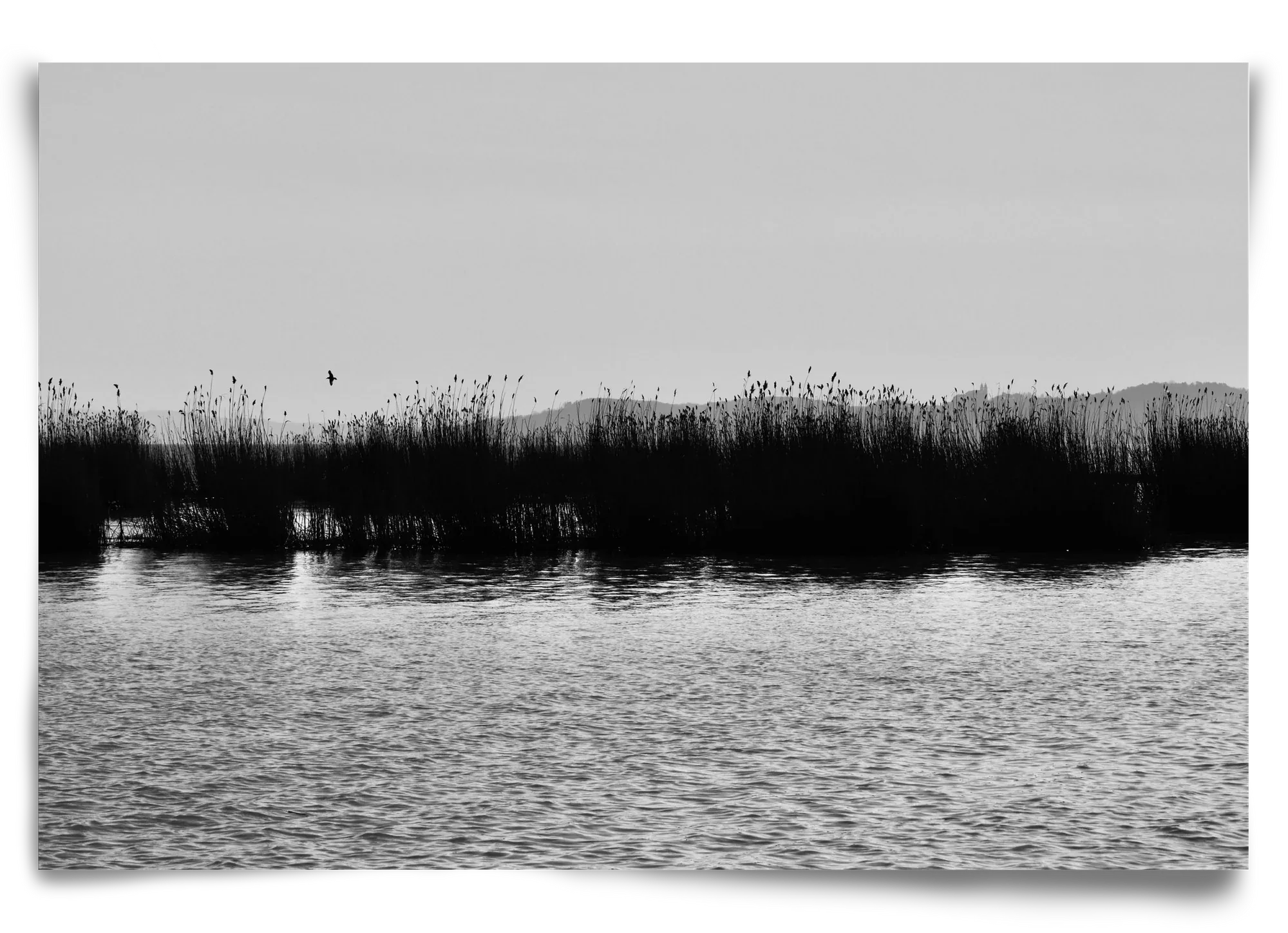 abbey - artbridge