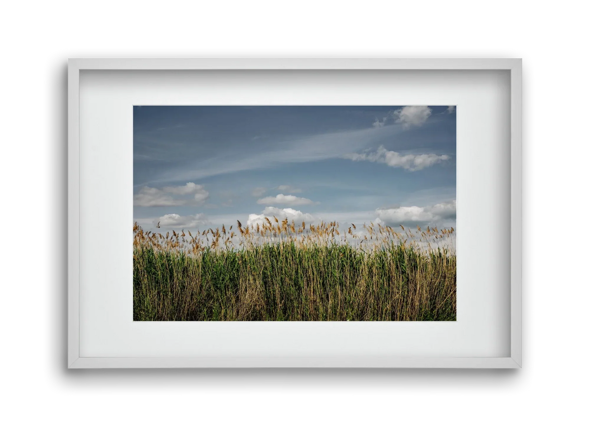 SILENCE - artbridge