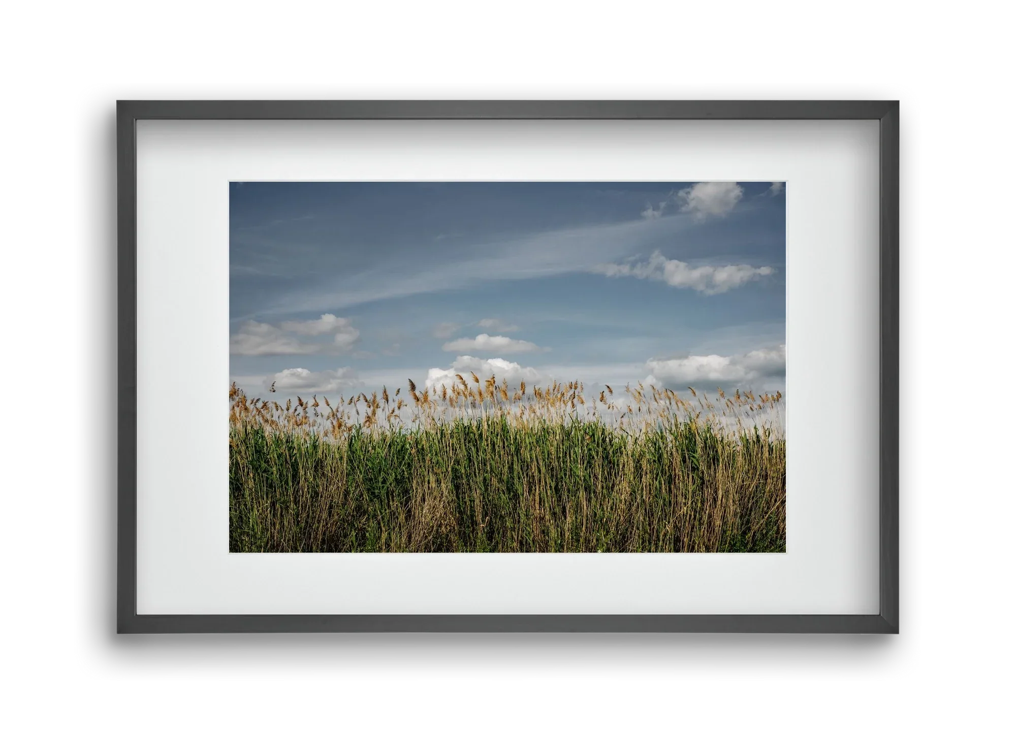SILENCE - artbridge