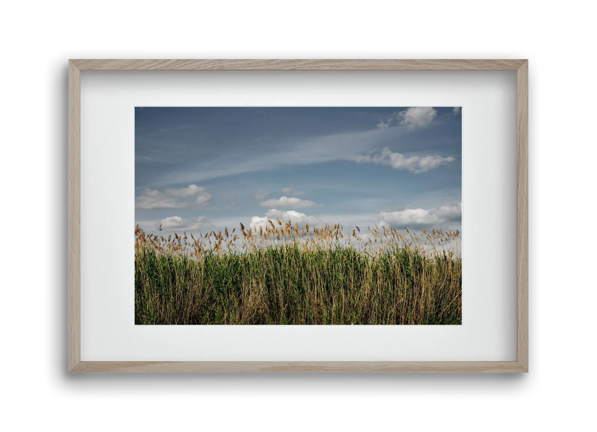 SILENCE - artbridge
