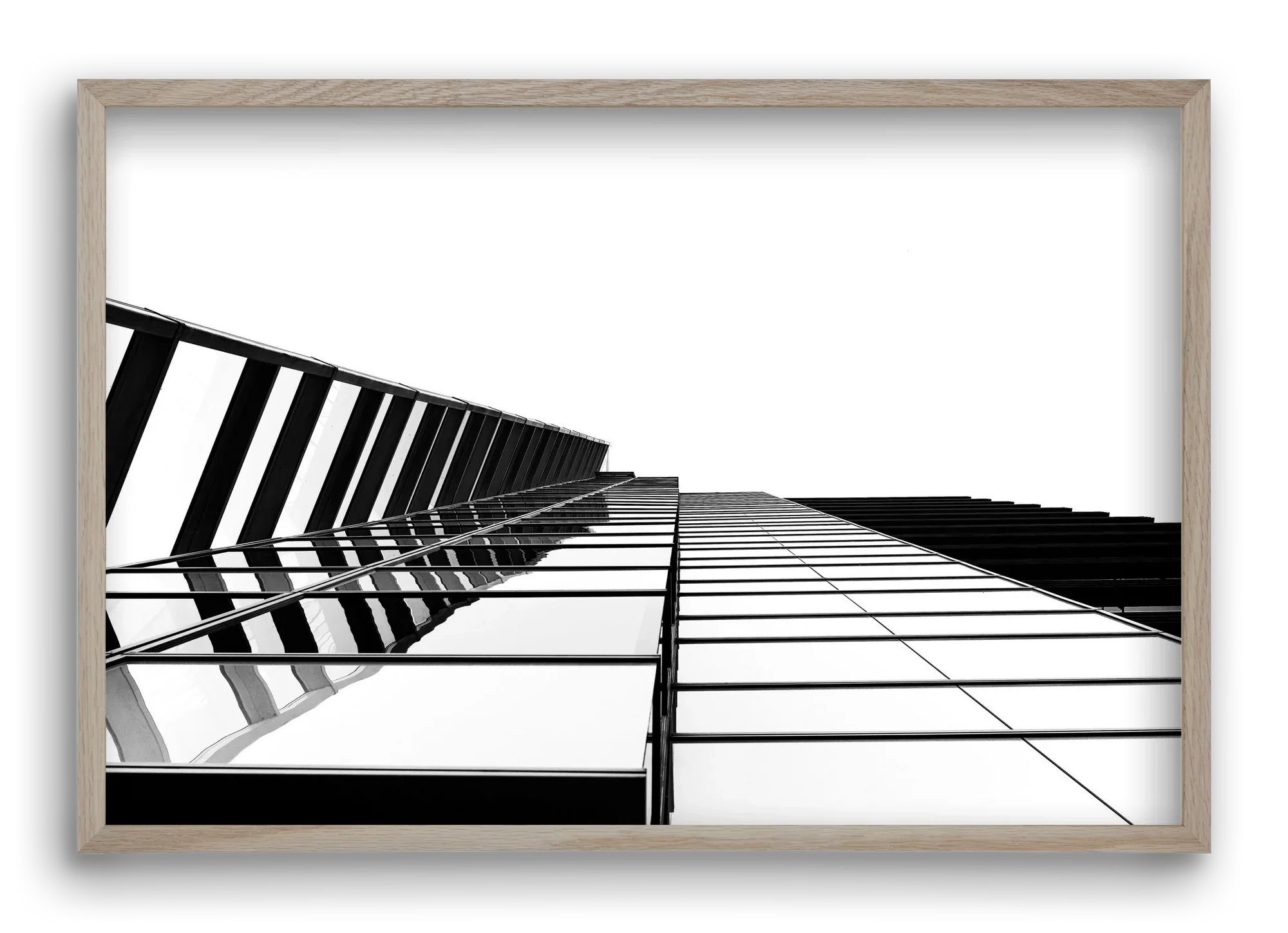 LINES - artbridge