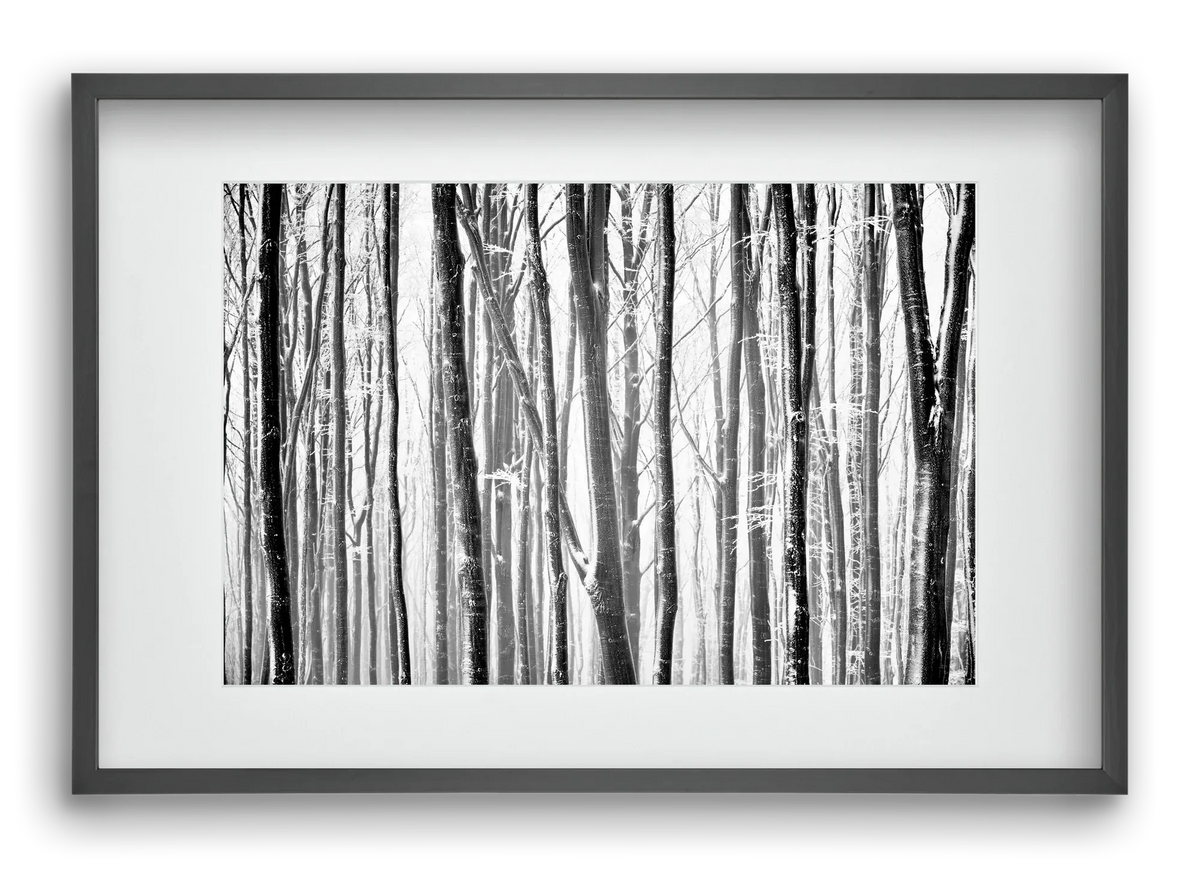 VERTICAL - artbridge