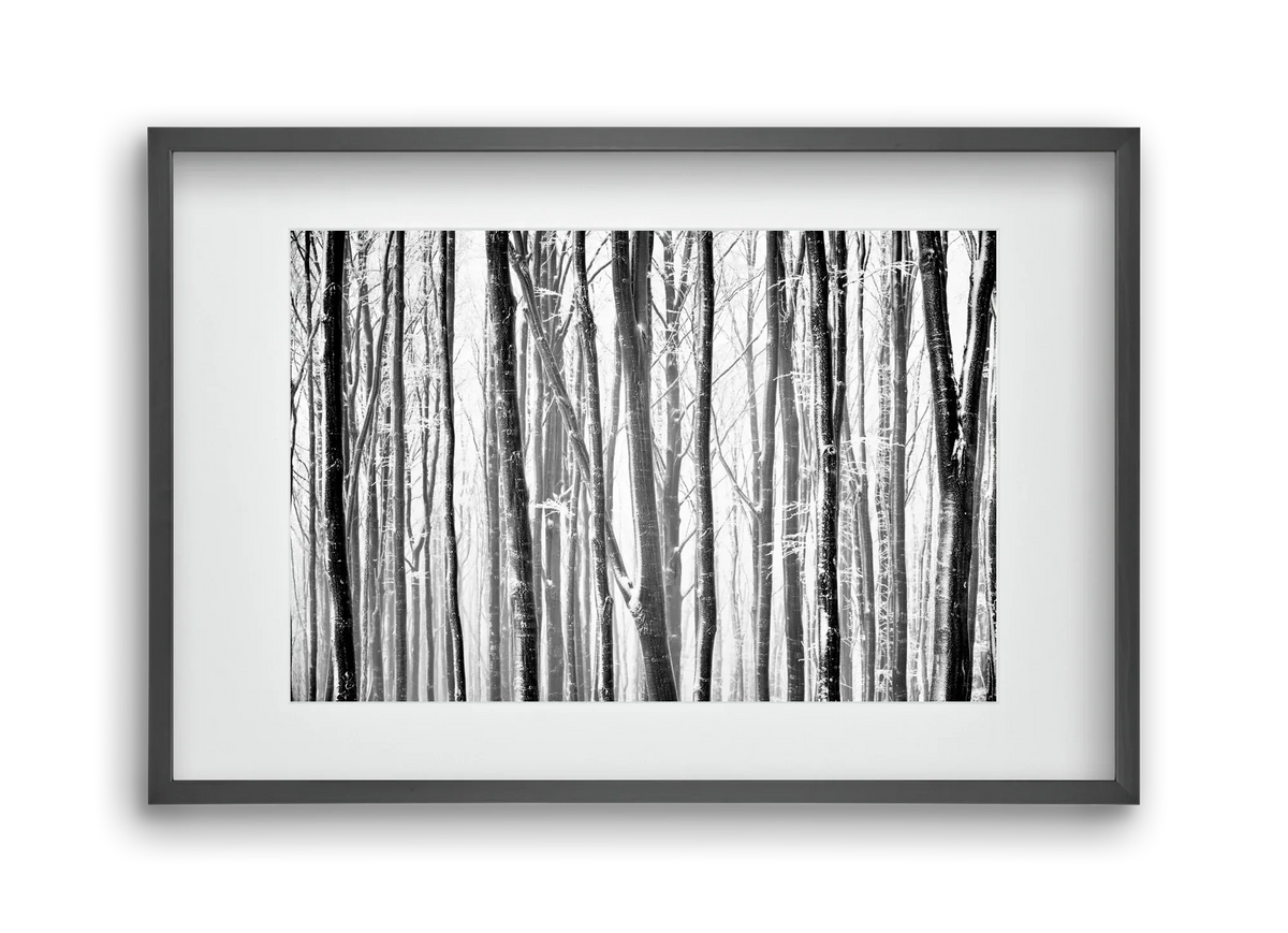 VERTICAL - artbridge