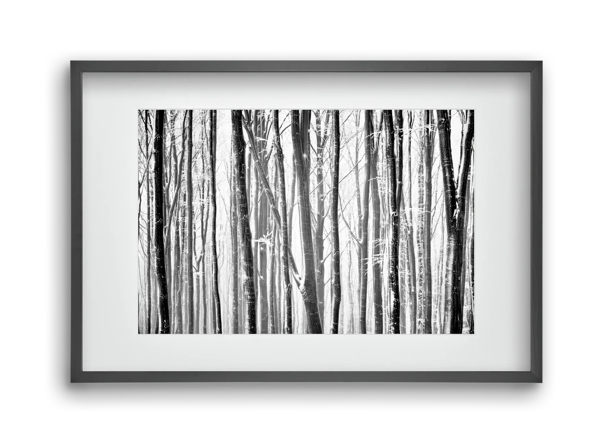 VERTICAL - artbridge