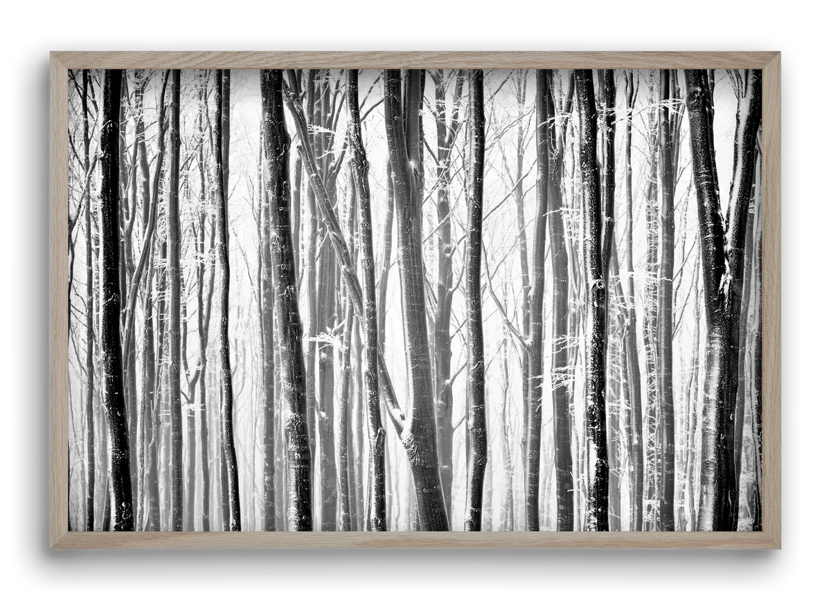 VERTICAL - artbridge