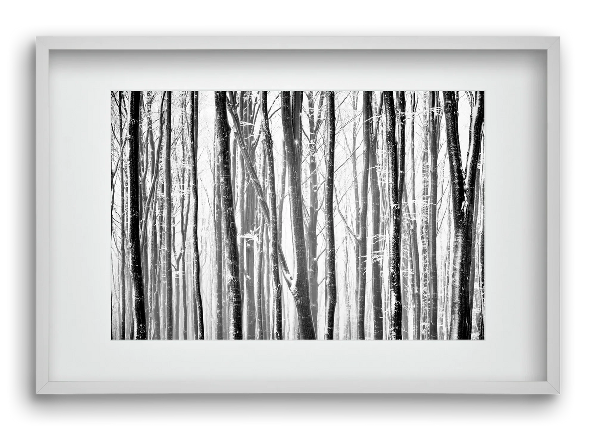 VERTICAL - artbridge