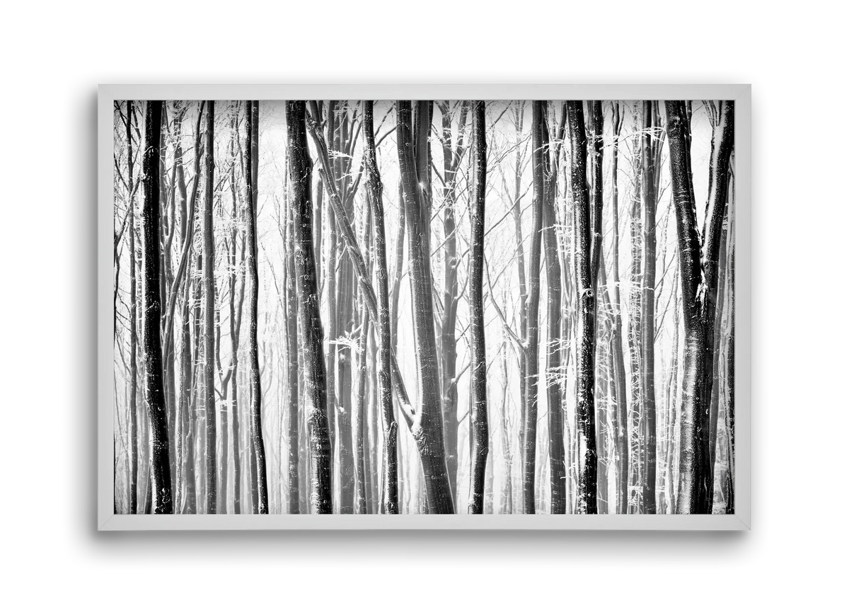 VERTICAL - artbridge