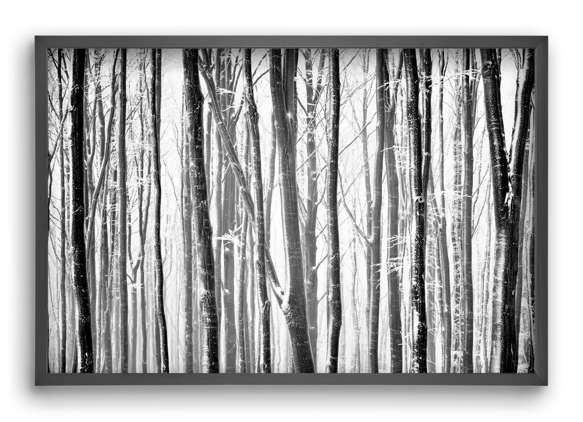 VERTICAL - artbridge