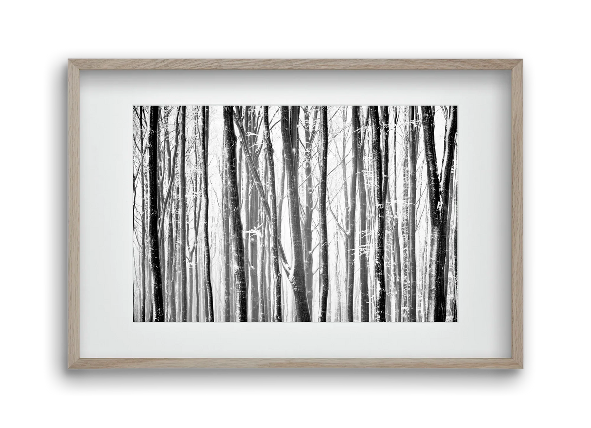 VERTICAL - artbridge