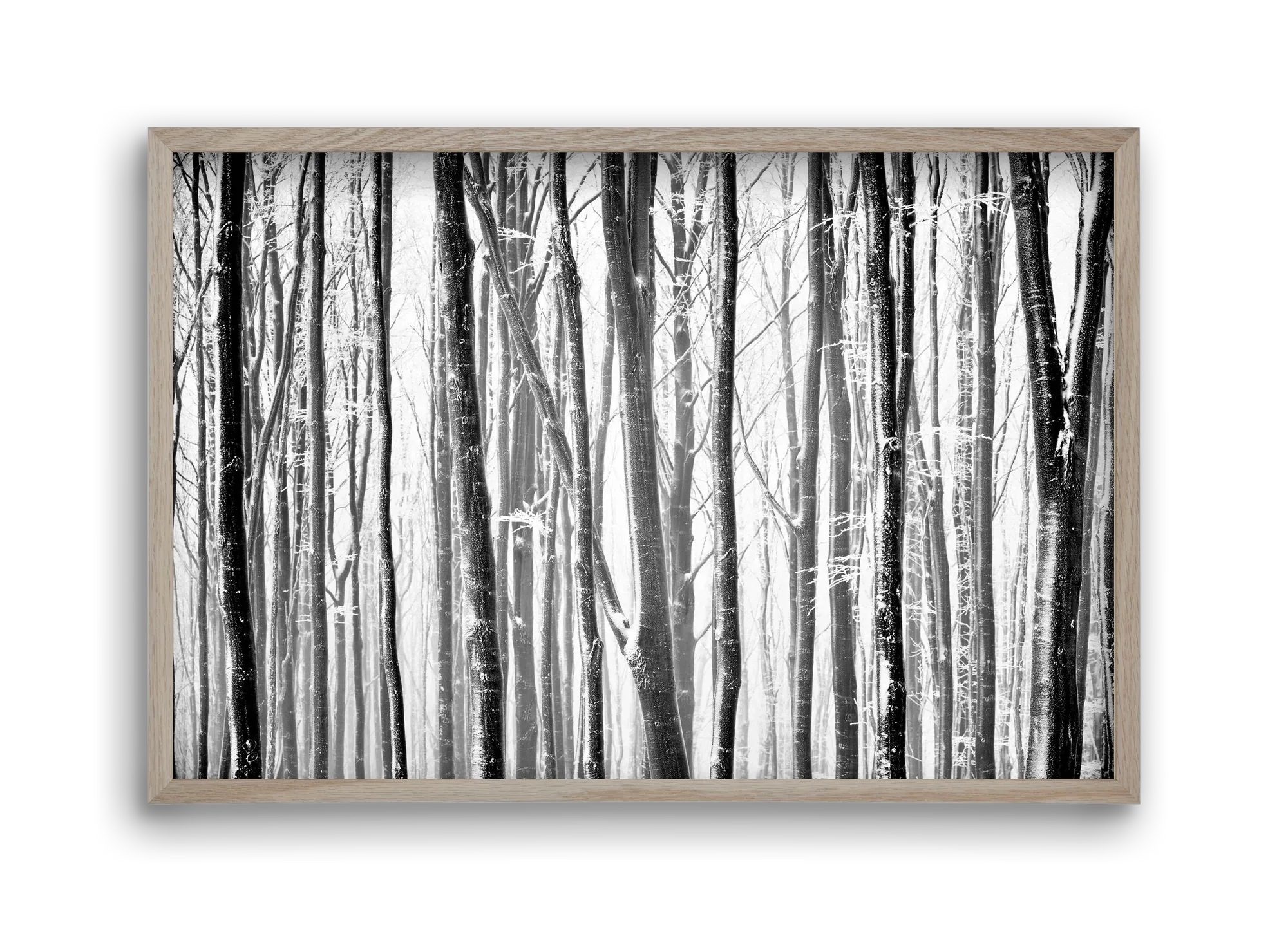 VERTICAL - artbridge