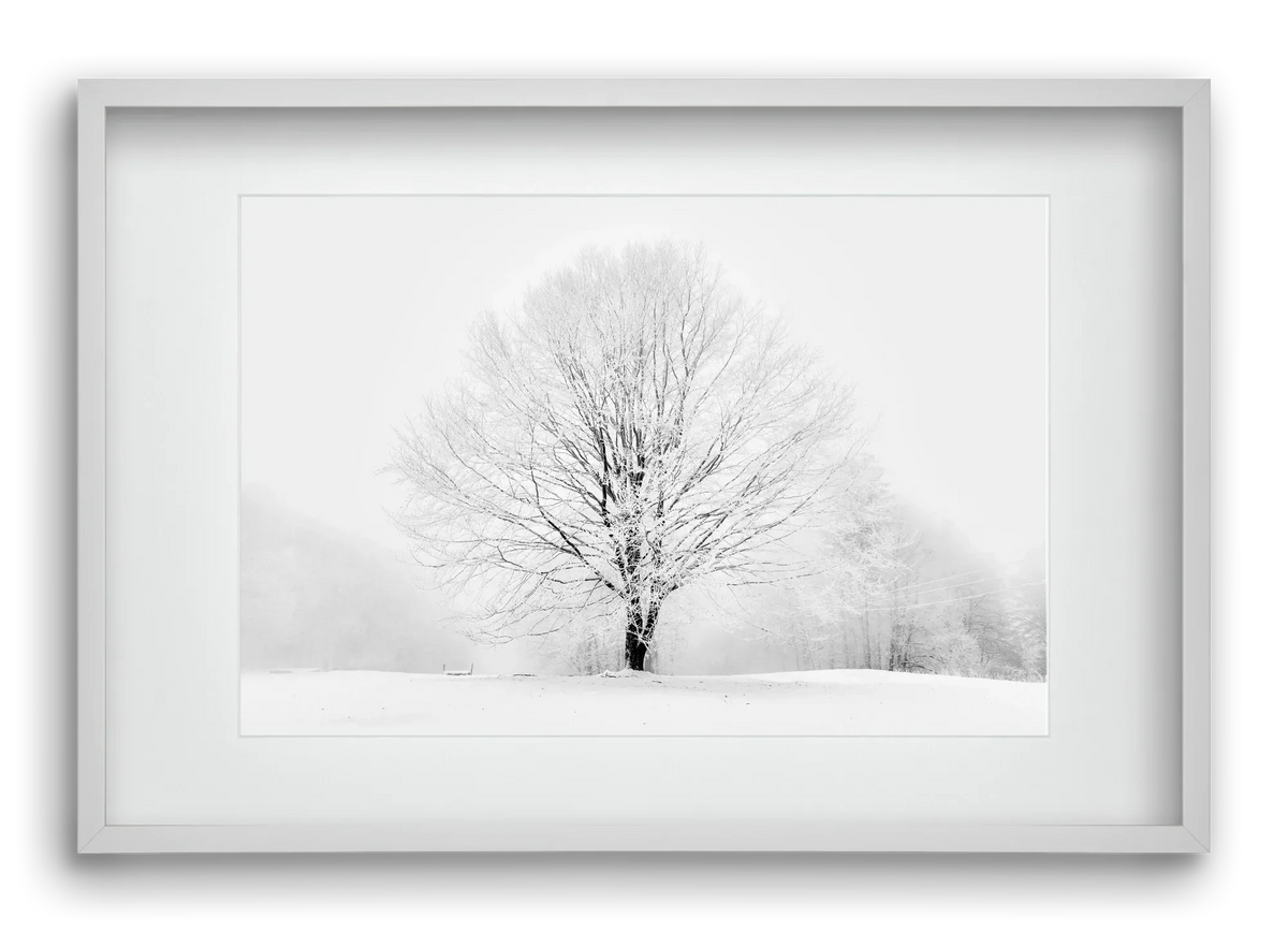 CONTRAST - artbridge