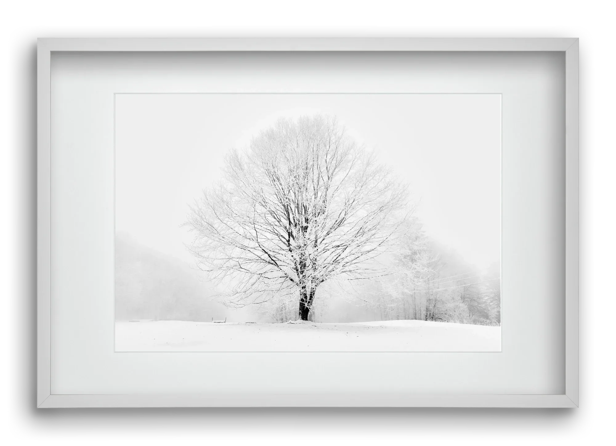 CONTRAST - artbridge